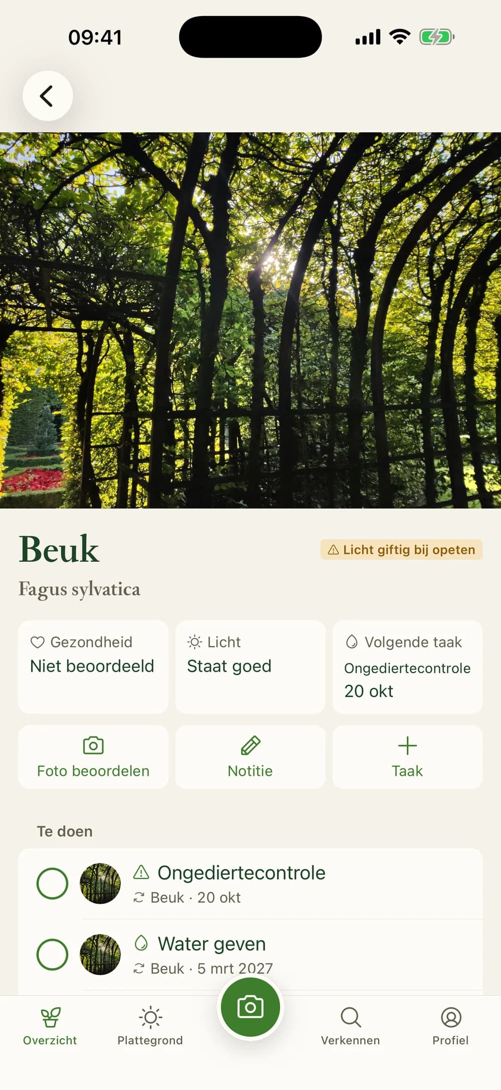 Plant page with health, light and the next task